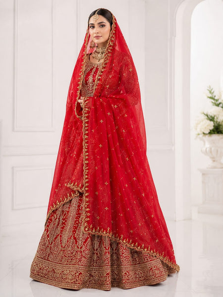 Women's Red Bridal Net Dupatta with Heavy Embroidery & Cutwork Border | Designer Wedding Dupatta