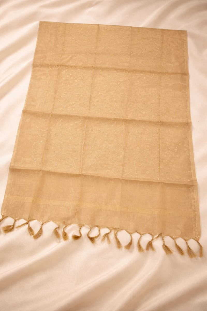 Women's Tessu Silk Banarasi Dupatta