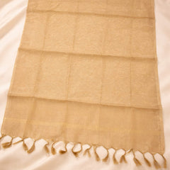 Women's Tessu Silk Banarasi Dupatta