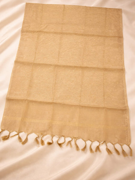 Women's Tessu Silk Banarasi Dupatta