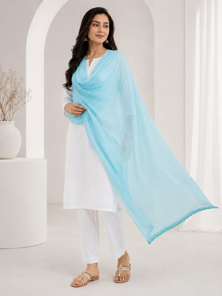Women's Sky Blue Chiffon Dupatta