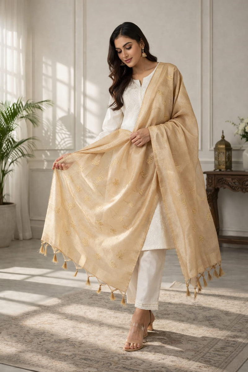 Women's Tessu Silk Banarasi Dupatta