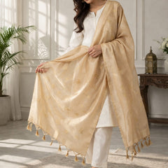 Women's Tessu Silk Banarasi Dupatta