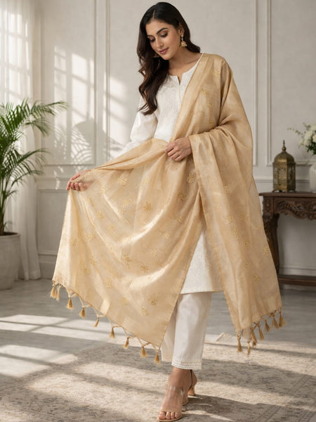 Women's Tessu Silk Banarasi Dupatta