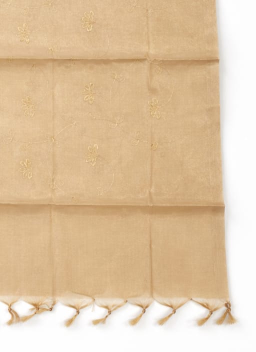 Women's Tessu Silk Banarasi Dupatta
