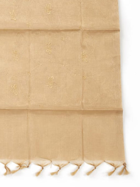 Women's Tessu Silk Banarasi Dupatta