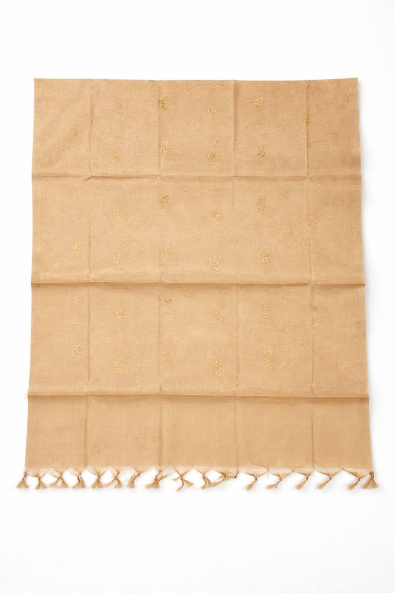 Women's Tessu Silk Banarasi Dupatta