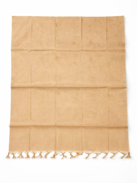 Women's Tessu Silk Banarasi Dupatta