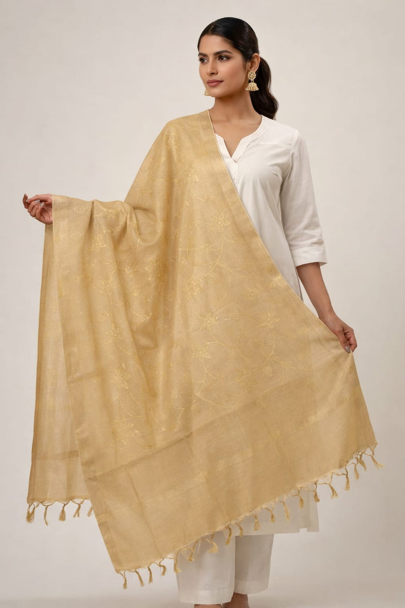 Women's Tessu Silk Banarasi Dupatta
