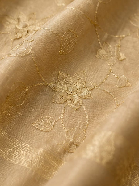 Women's Tessu Silk Banarasi Dupatta