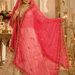 Red Net Cutwork Dupatta for Women