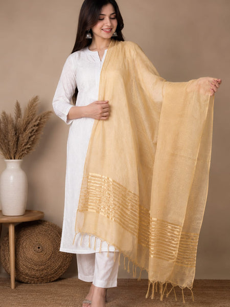 Beige Chanderi Silk Striped Border Dupatta with Tassels