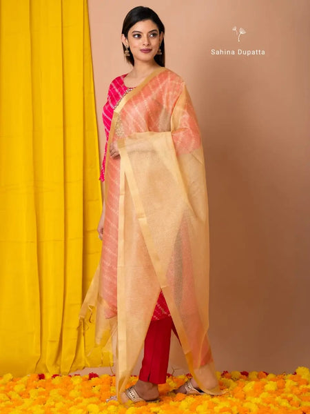 Tissue Banarasi Silk Dupatta
