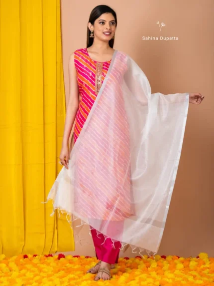 Tissue Silk Banarasi Dupatta